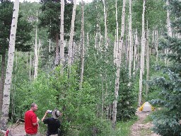 Campsite at Lamberts Mine